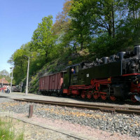 Sonderfahrten Exkursionen 2018 - Modelleisenbahnclub Kreischa e.V.